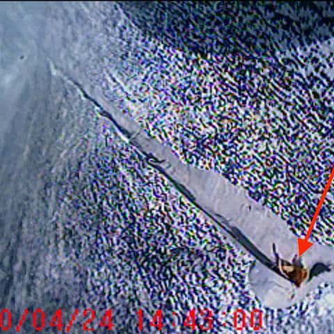 Illustration interventions de plomberie piscine à Beaucaire par ASD Canalisation - Réparation méthode non invasive