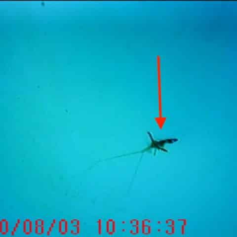 Illustration remise en état complète de canalisation à Lunel par nos spécialistes en canalisation