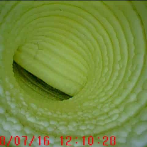 Détection de fuite piscine – ASD Canalisation à Beaucaire Illustration réparation de canalisation à Beaucaire par ASD Canalisation